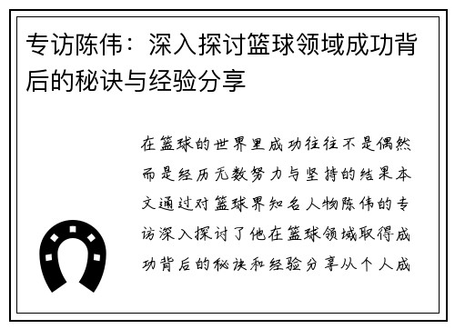 专访陈伟：深入探讨篮球领域成功背后的秘诀与经验分享