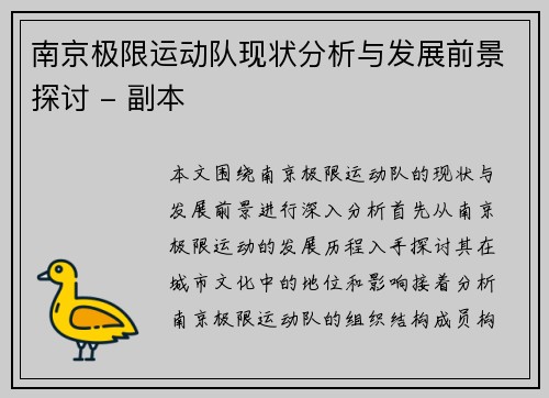 南京极限运动队现状分析与发展前景探讨 - 副本