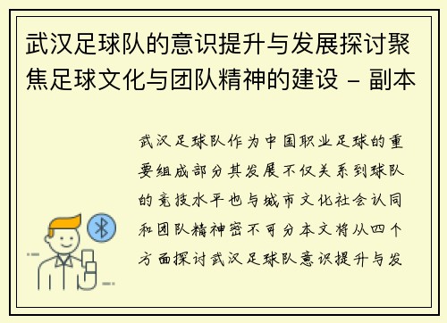 武汉足球队的意识提升与发展探讨聚焦足球文化与团队精神的建设 - 副本